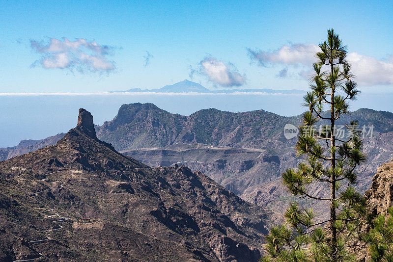 大加那利岛的Roque Bentayga和特内里费岛的Pico de Teide